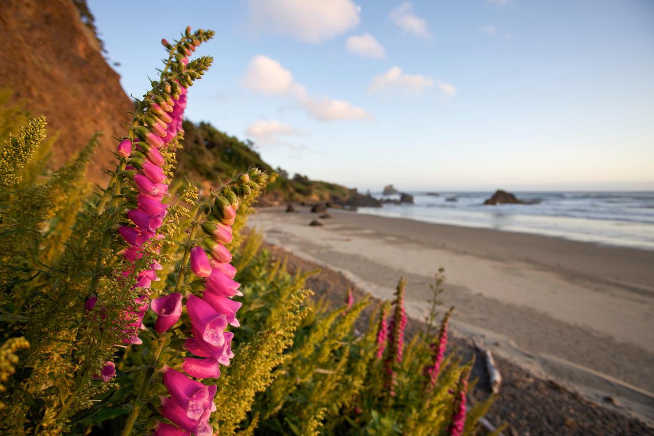 Inn At Cannon Beach Dış mekan fotoğraf